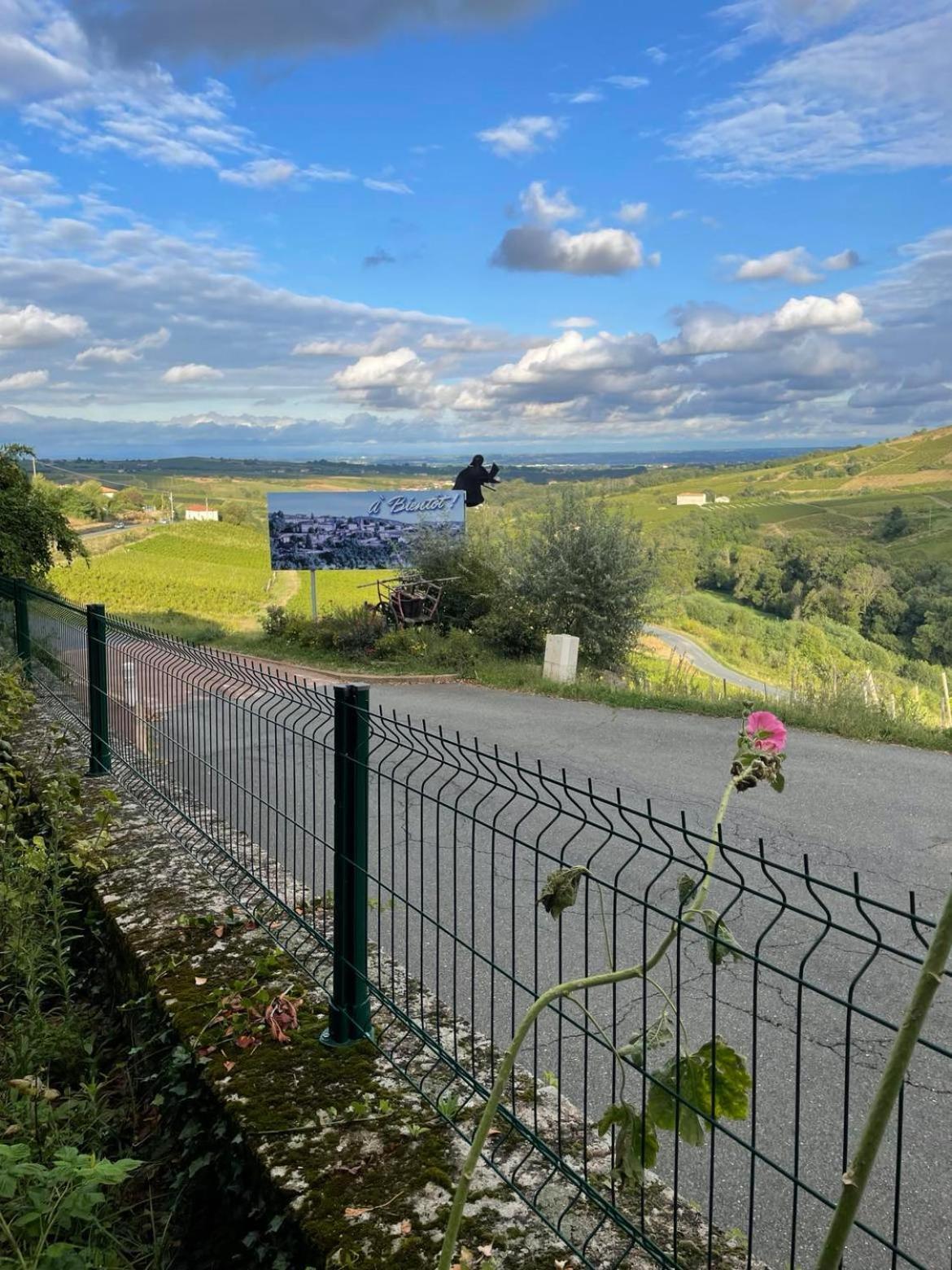 Les Agapanthes Bed & Breakfast Vaux-en-Beaujolais Exterior photo